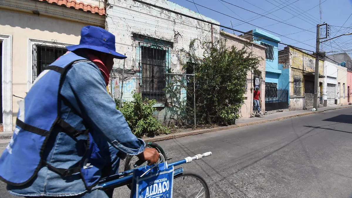 APOYO PARA ADULTOS MAYORES JESUS GTZ EL SOL DE IRAPUATO  (2)